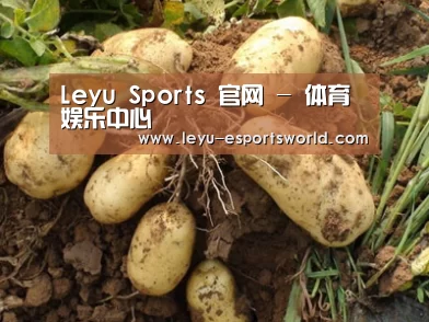 种植基地六