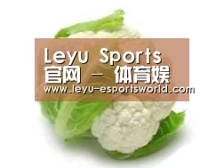 产品名称九