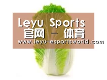 产品名称一