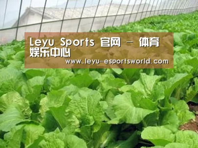 种植基地一