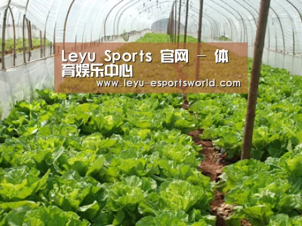 种植基地五