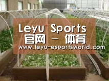 环境展示五