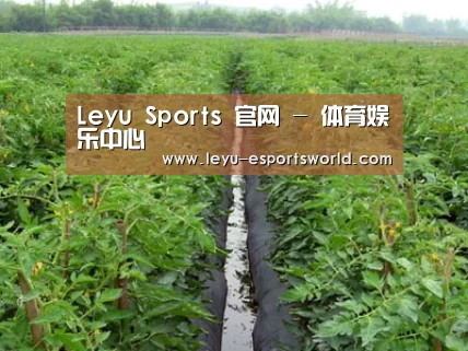 种植基地三