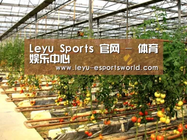 种植基地二