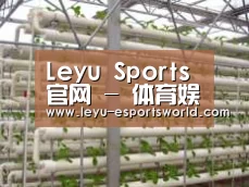 环境展示六