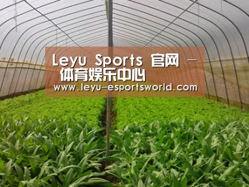 种植基地四