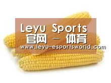 产品名称五