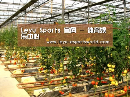 种植基地二(图1)