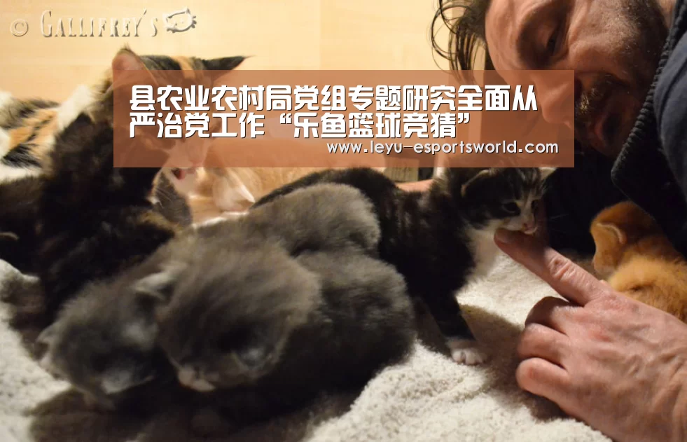 乐鱼篮球竞猜