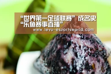 乐鱼电竞官网