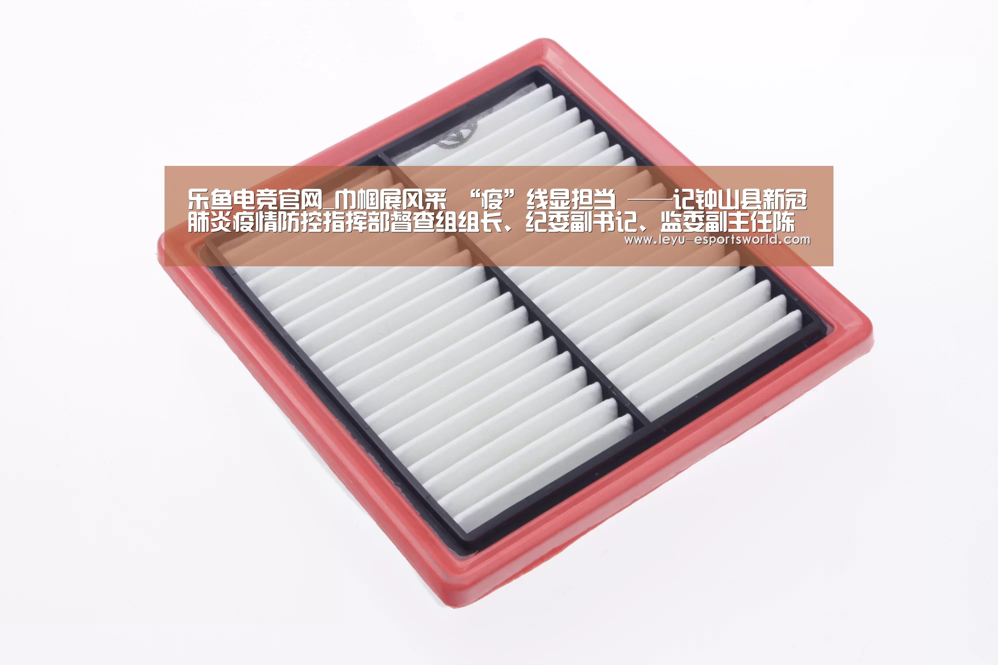 乐鱼电竞官网_巾帼展风采 “疫”线显担当 ——记钟山县新冠肺炎疫情防控指挥部督查组组长、纪委副书记、监委副主任陈晓玲(图1) 乐鱼登录入口