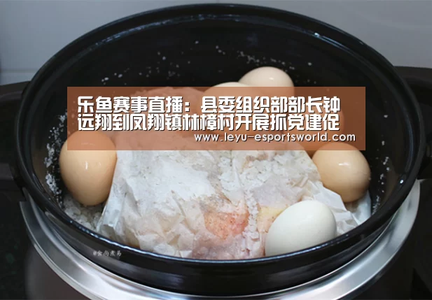 乐鱼赛事直播:县委组织部部长钟远翔到凤翔镇林樟村开展抓党建促脱贫攻坚专题调研活动(图1) 乐鱼登录入口