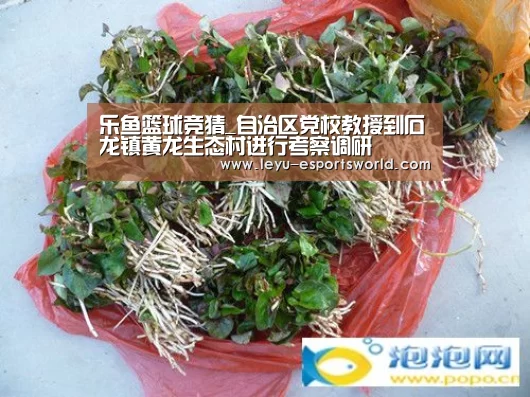 乐鱼赛事直播